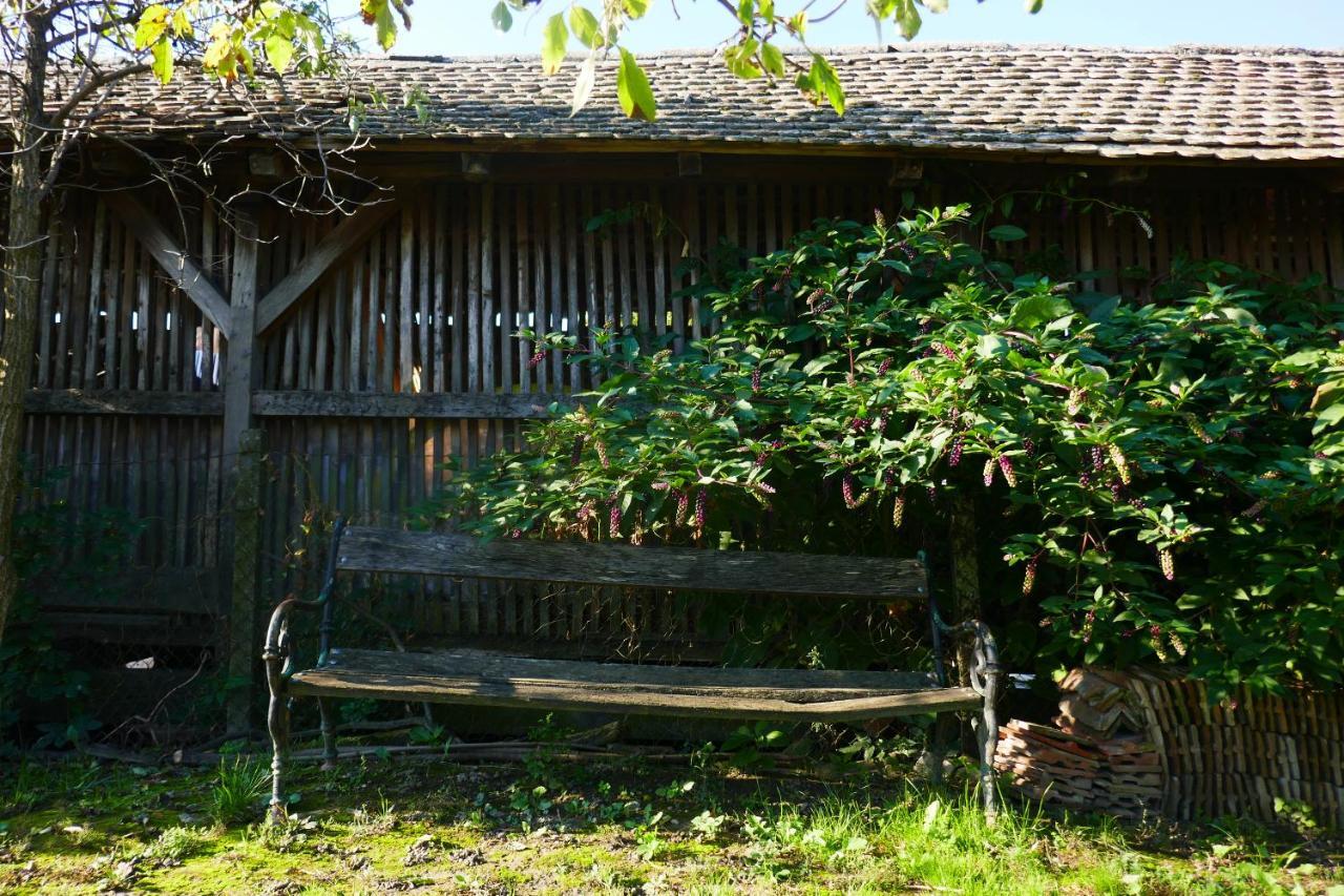 Appartamento House Of Lovra Kneževi Vinogradi Esterno foto